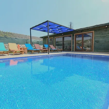 Patara 3 *